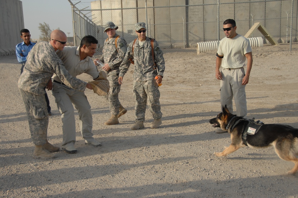 K-9 demonstration