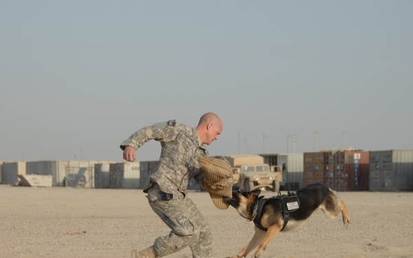 K-9 demonstration