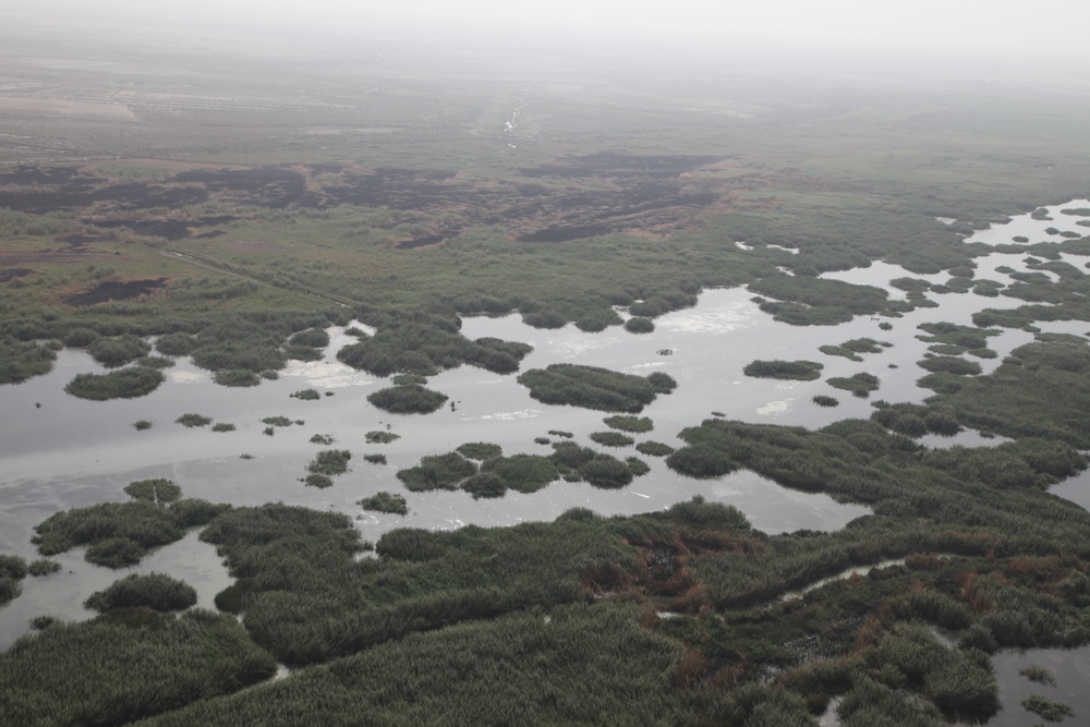 Aerial shots