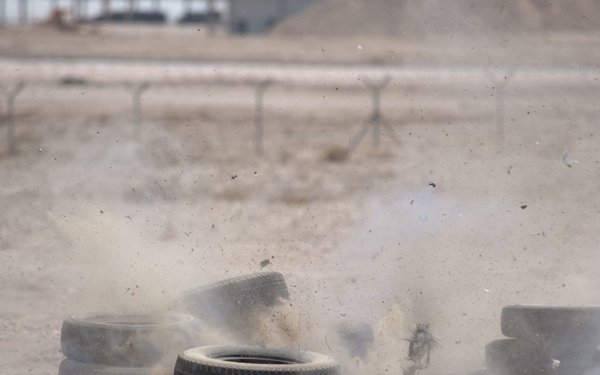Explosive ordnance disposal: Joint efforts create family ties