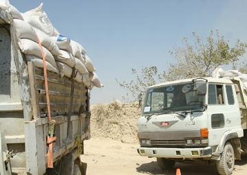 Wheat seed distribution