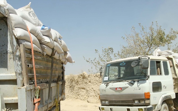 Wheat seed distribution
