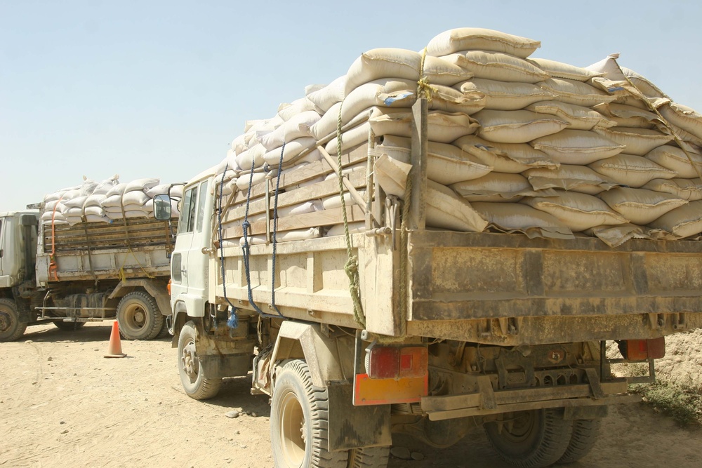 Wheat seed distribution