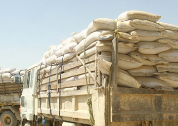Wheat seed distribution