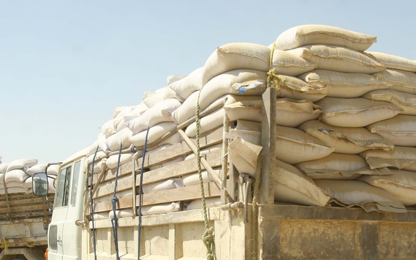Wheat seed distribution