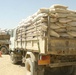 Wheat seed distribution