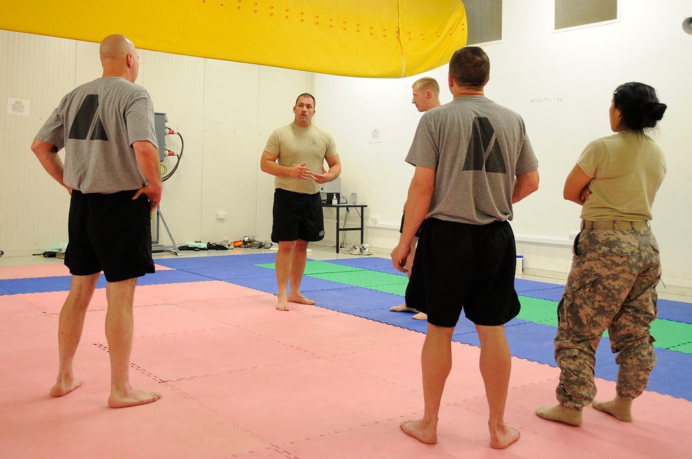 Army combatives