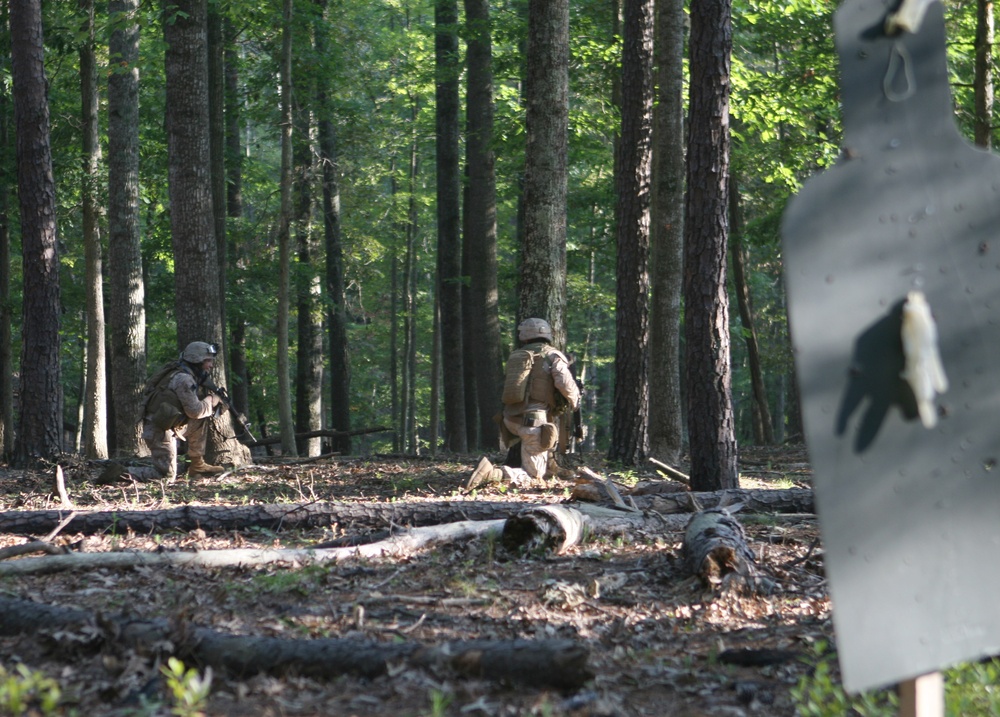 Dawn to Dusk and Then Some; 1/6 Takes Part in Day and Night Squad Attacks