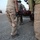 Air Assault Mission