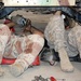 Old Hickory helps Iraqi Army help themselves