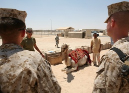 Iraqis and U.S. Service Members Create Cross-cultural Bonds