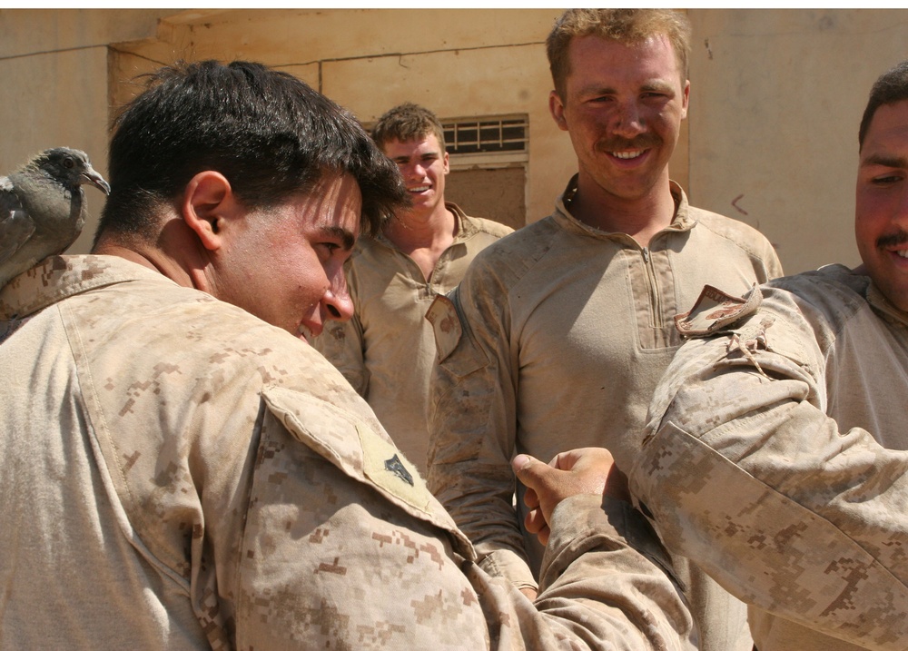 3rd Light Armored Reconnaissance Marines Keep Their Spirits High and Their Heads Low