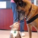 Clinic Cat on Orders to Luke