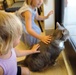 Clinic Cat on Orders to Luke