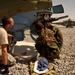 Training Sortie