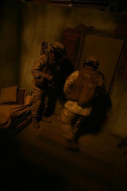 1st Air Naval Gunfire Liaison Company training