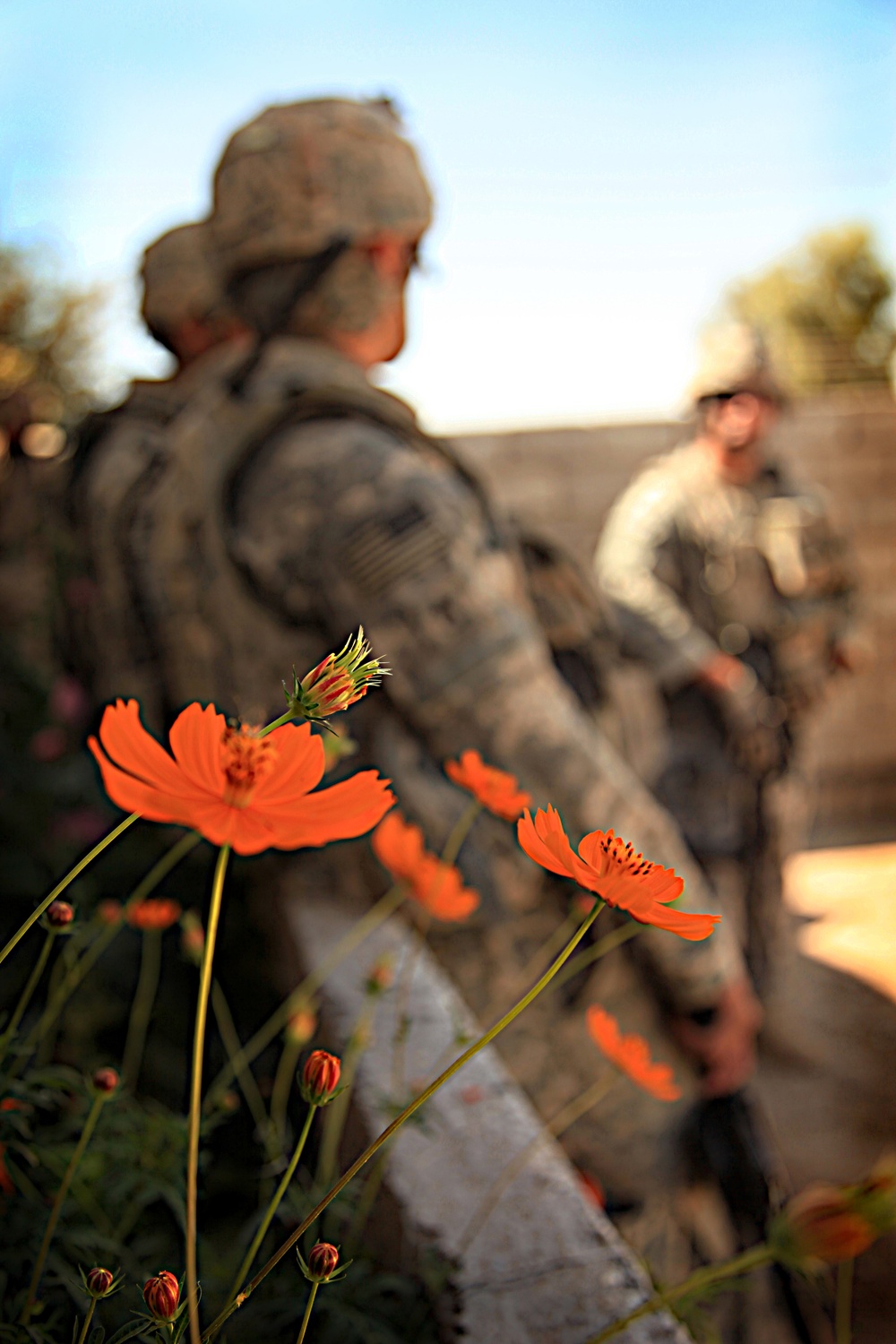 Micro-grant follow-up