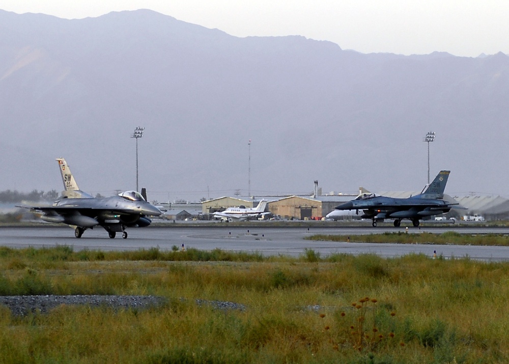 Falcons land at sunset