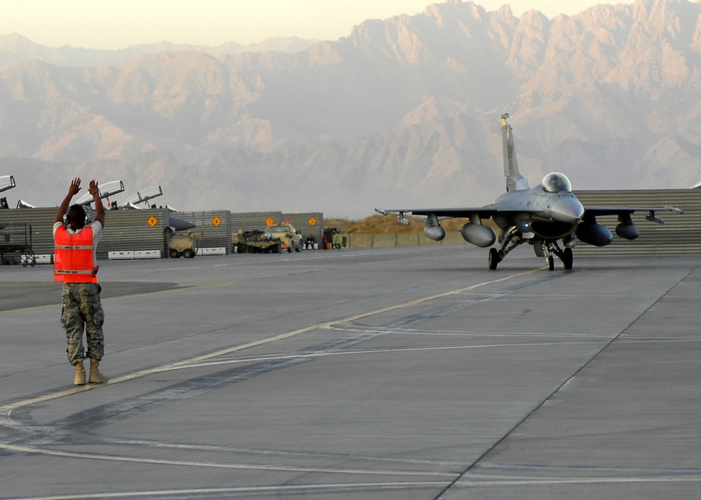 Falcons land at sunset
