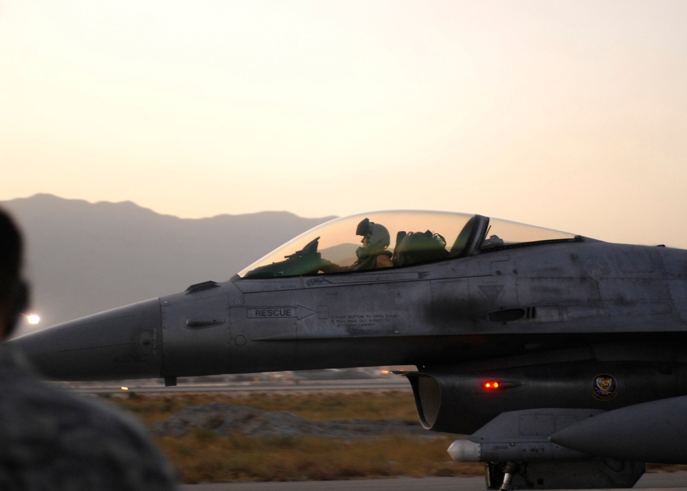 Falcons land at sunset