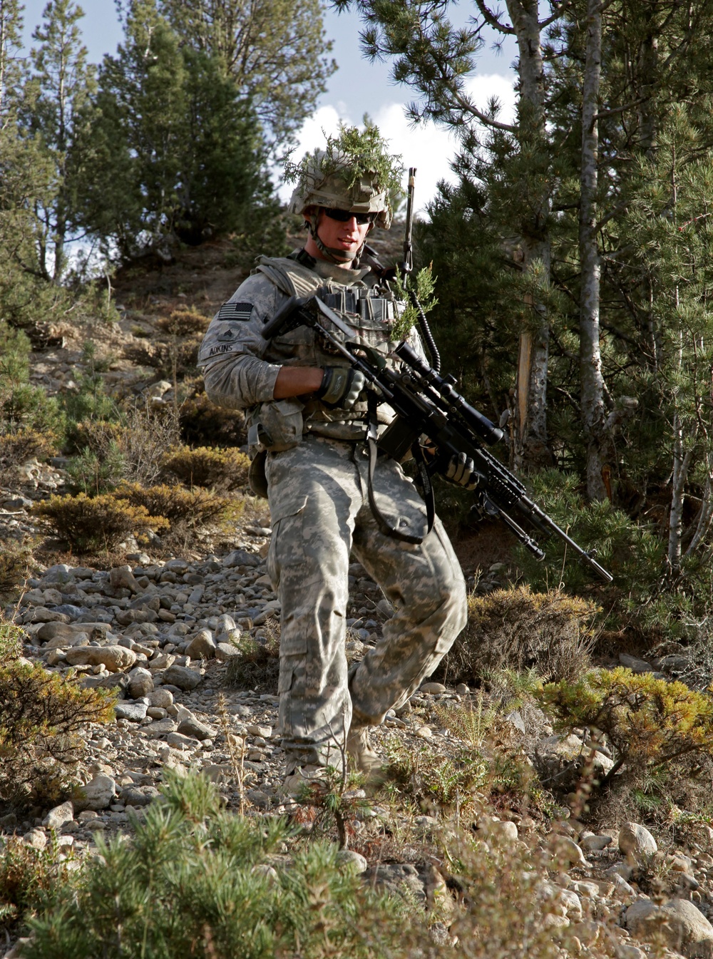 Cavalry patrol