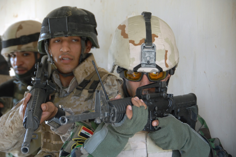 Combat training