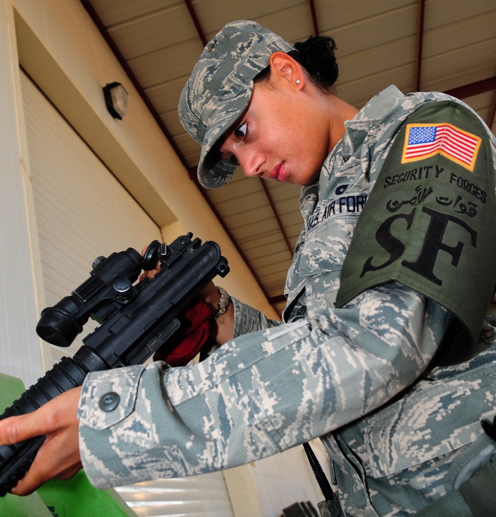 Weapons Care