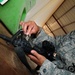 Weapons Care