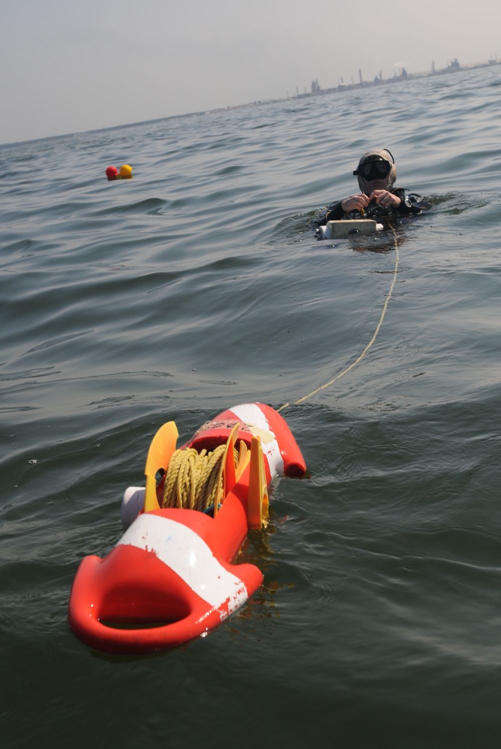U.S., Egyptian EOD Sailors train together