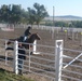 First Team's Horse Cavalry Det. competes nationally