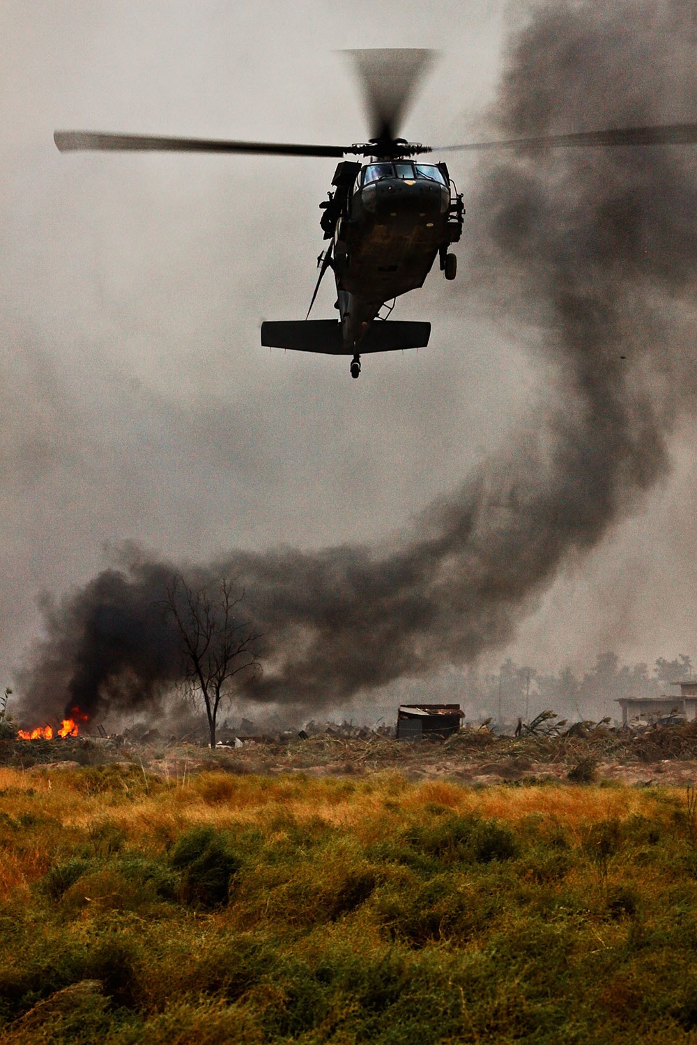 Air Cav spearheads joint air assault demonstration