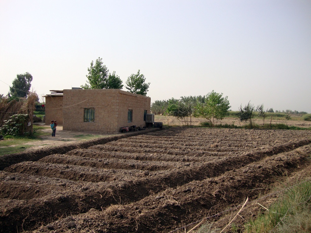 Water filters and food supplies