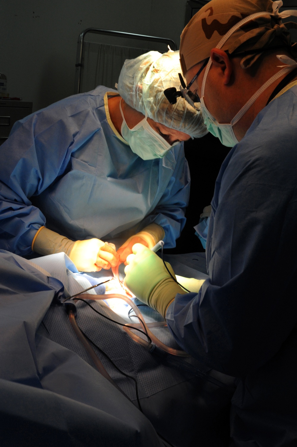 Camp Lemonnier Service members Perform Surgery on Hektor, a Djiboutian K-9 Working Dog