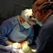 Camp Lemonnier Service members Perform Surgery on Hektor, a Djiboutian K-9 Working Dog