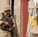 US, IA take part in historic air assault
