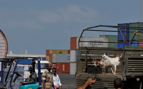 Djibouti Port Both Busy and Strategic