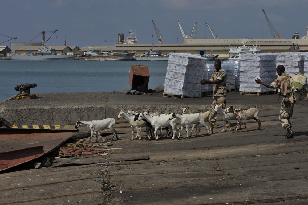 Djibouti Port Both Busy and Strategic