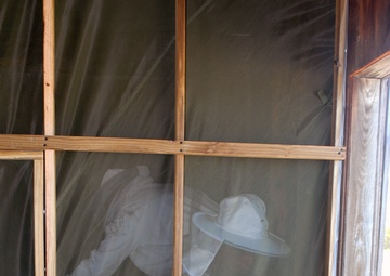 JTF Guantanamo's Bee Whisperer