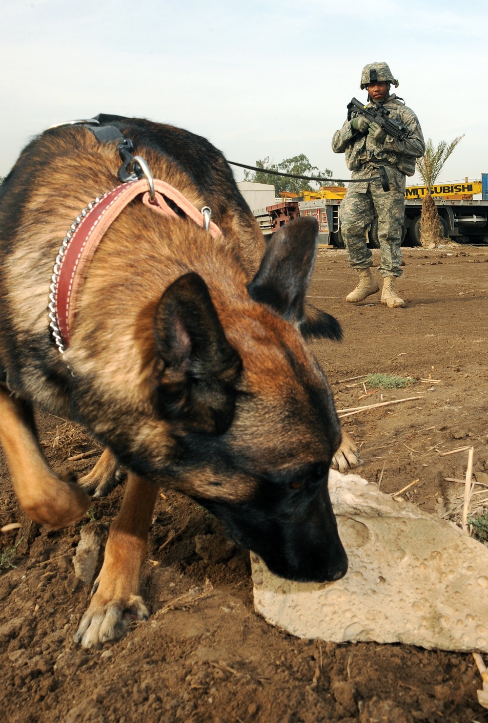 Team Chukky Detects Terrorism in Iraq