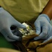 Inspecting every little detail to potentially save a life