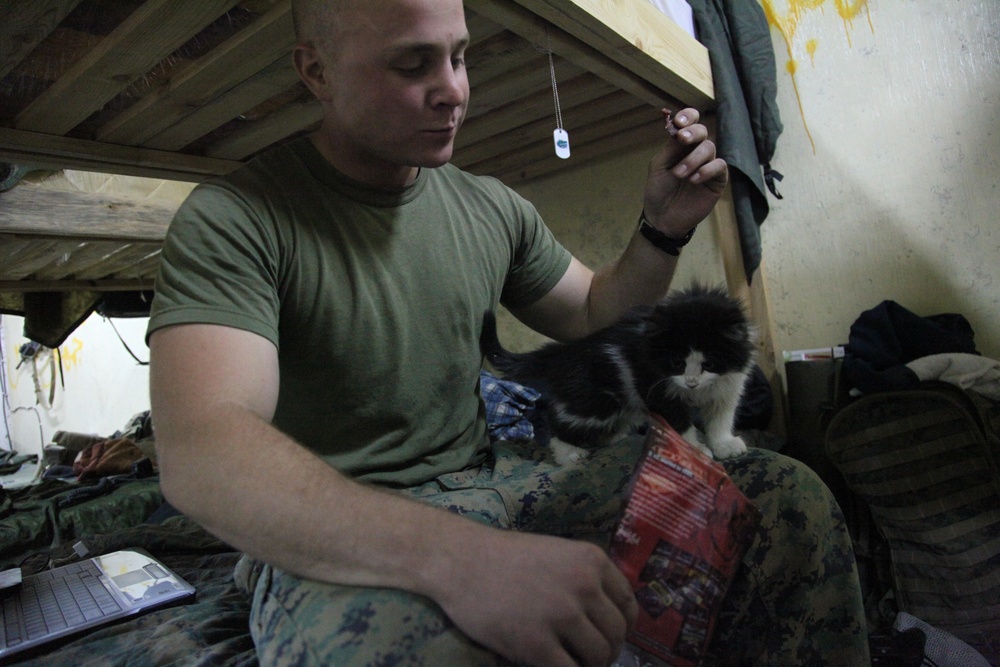 Marines Arrive at FOB Airborne