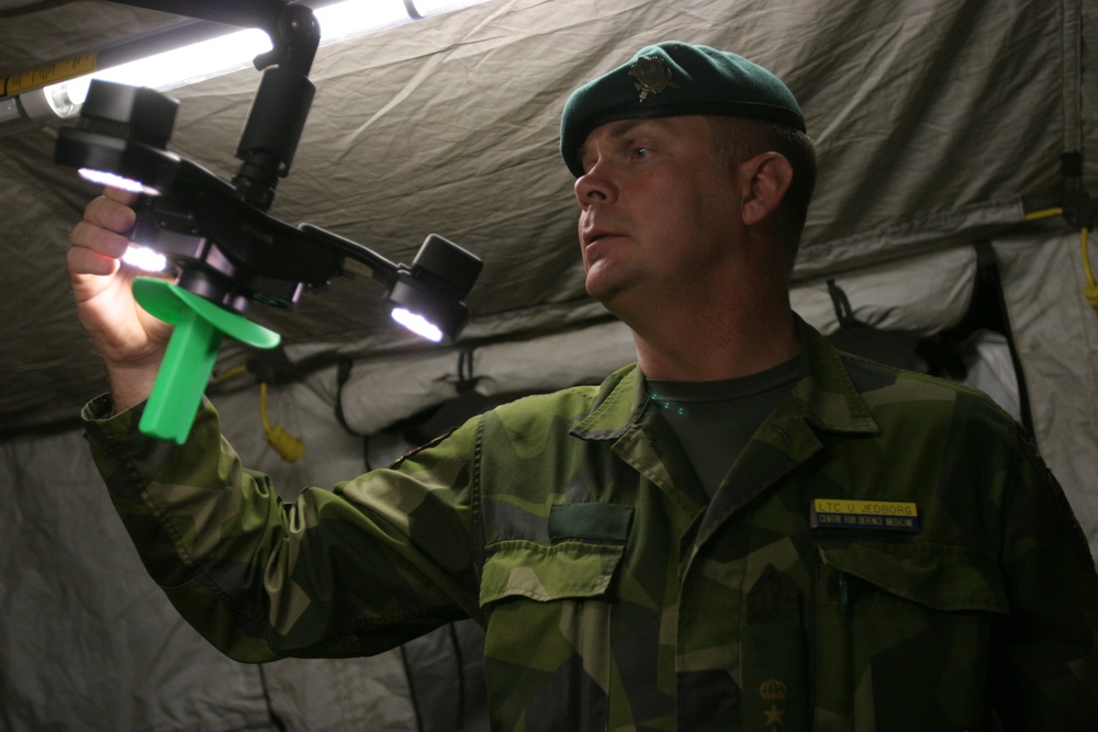 Swedish Army