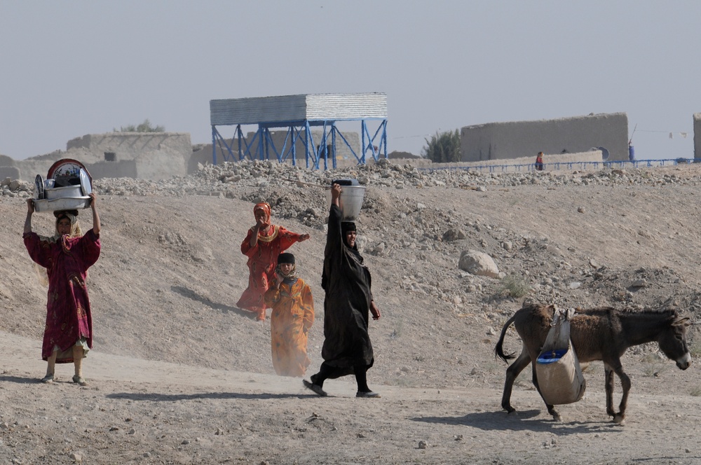 Response program assessment