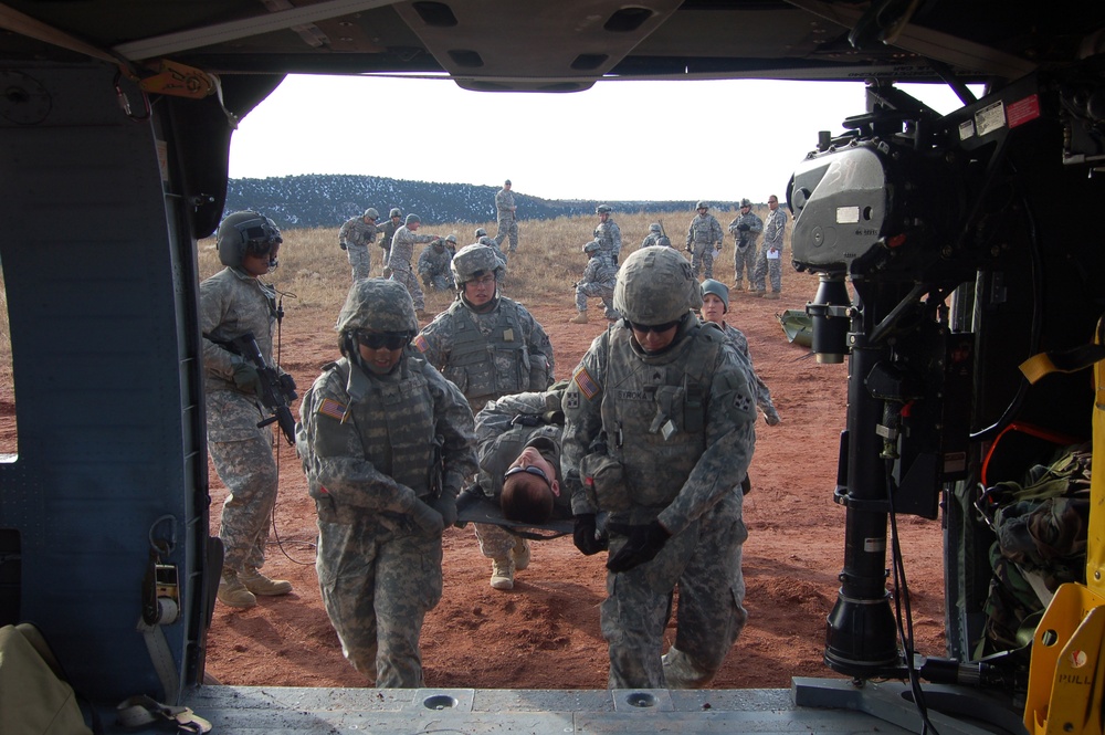 Loading a Litter