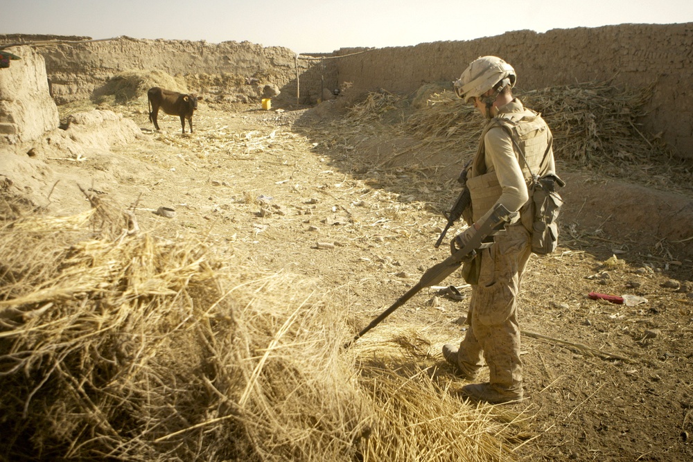 Marines, Afghan soldiers hunt Taliban