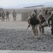 Polish soldiers train with Black Hawks