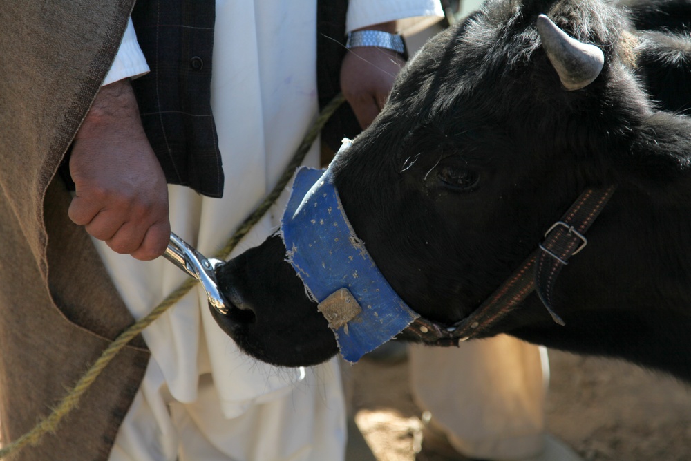 Afghan medical personnel skills improvement mission