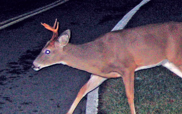 You Look Out For Your Dear Ones, Now Look Out for Me