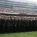 Veterans Day at Chicago Bears game