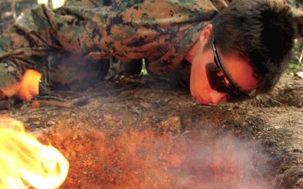 All-female Basic Jungle Environment Survival Training